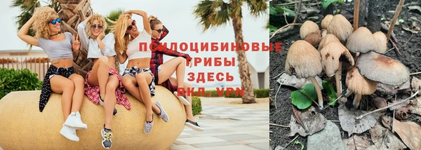винт Алексеевка