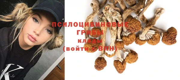 PSILOCYBIN Абинск
