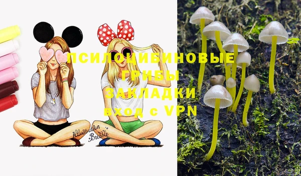 кокс Абдулино